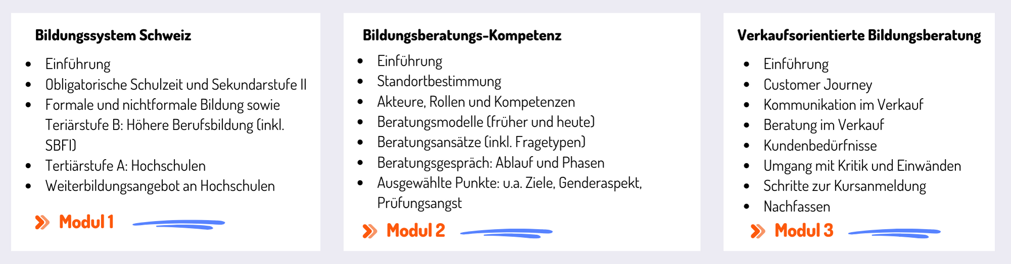 Lerninhalte des Online-Lehrganges