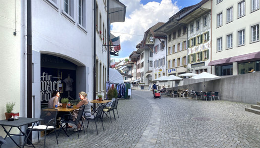 Schulen Zofingen: mit mit dem öffentlichen Verkehr optimal zu erreichen