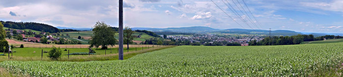 Es gibt zahlreiche Schulen Bülach uuml;ber die Stadt verteilt