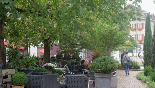 Schulen Frauenfeld: Verpflegungsmöglichkeiten