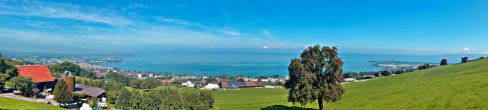 Es gibt zahlreiche Schulen Rorschach uuml;ber die Stadt verteilt