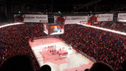 Sprachaufenthalt Kanada - NHL-Hockeyspiel Heimmandschaft Montréal