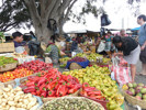 Sprachaufenthalt spanisch - Früchte Markt