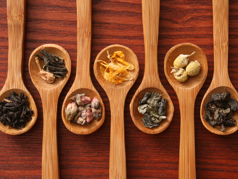 Ausbildung Naturheilpraktiker