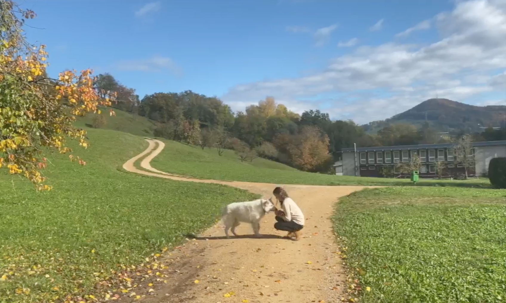 Ausbildung Tierkommunikation