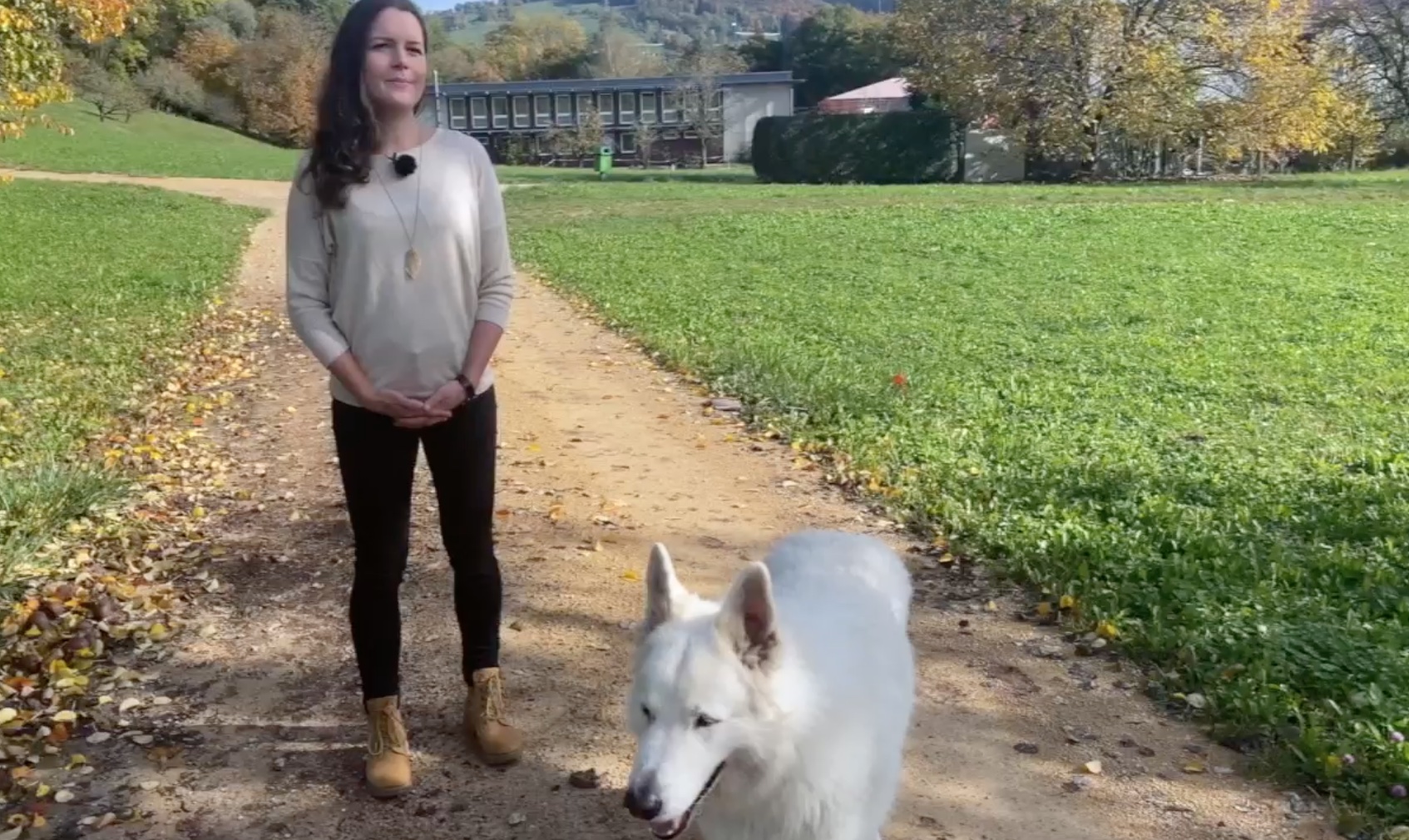 Tierkommunikation Ausbildung