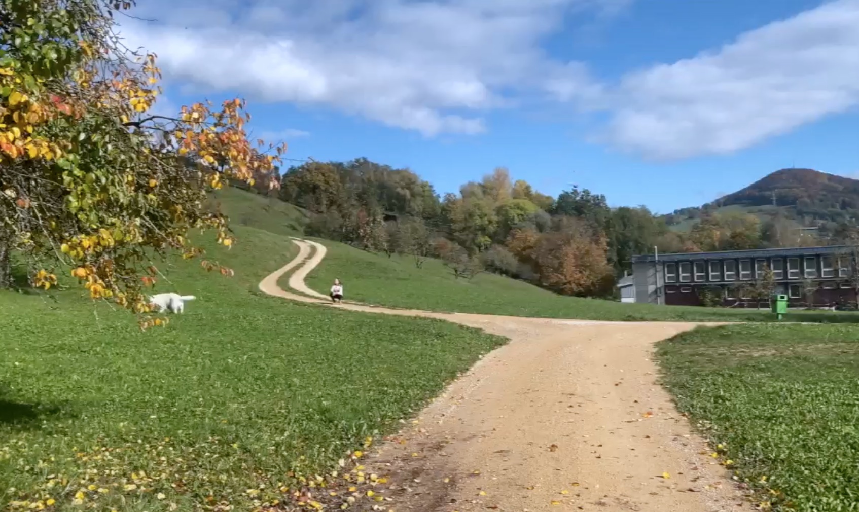 Tierkommunikatorin Ausbildung