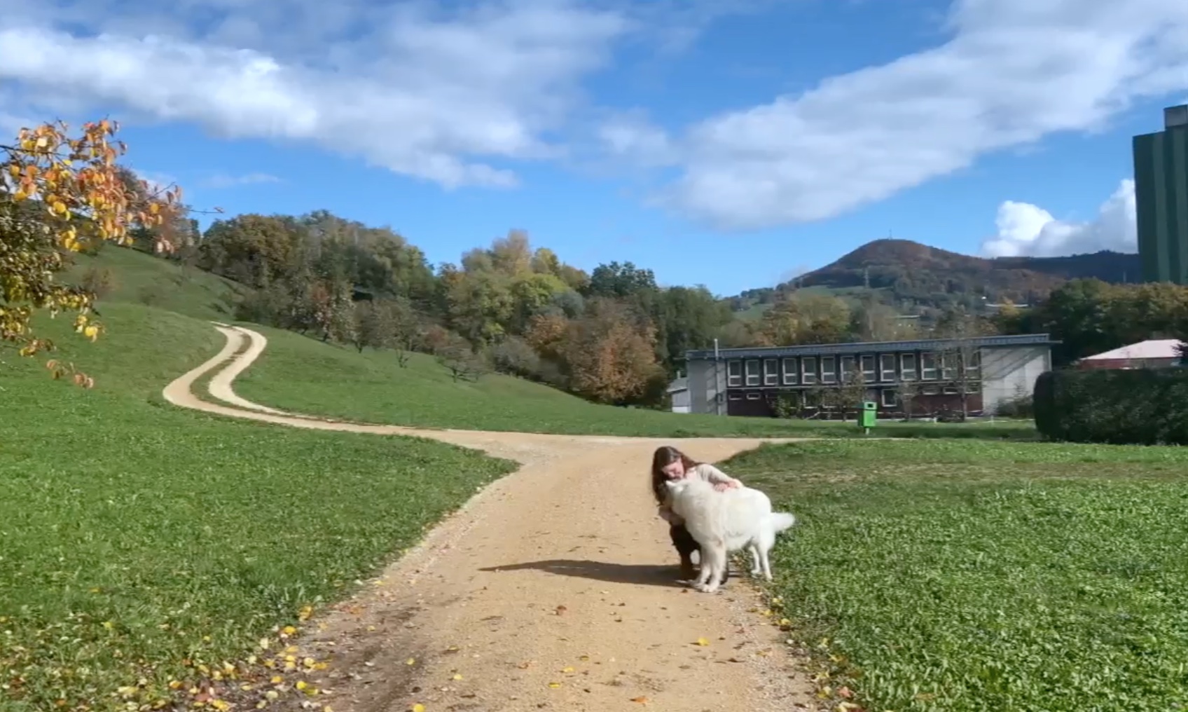 Kurs Tierkommunikation