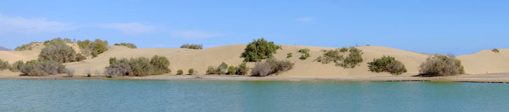 Küstenabschnitt in Gran Canaria